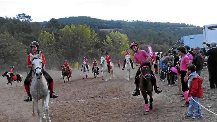 Actes de la mostra del cavall de l&#039;any passat