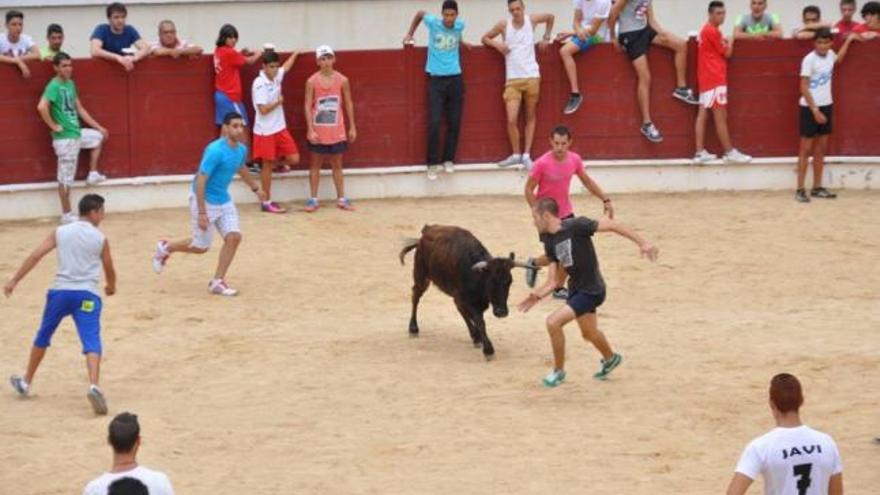 Los participantes pudieron dar unos pases en el coso.