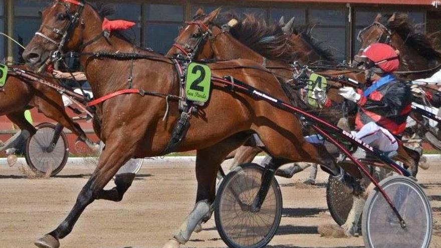 La Peña Bonanza copa la quiniela del &#039;Premi Mallorca&#039; de Son Pardo