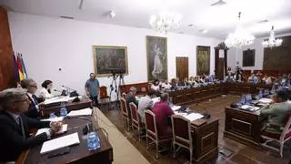 El Pleno de la Diputación de Córdoba aprueba aumentar en 3 millones los recursos para programas sociales