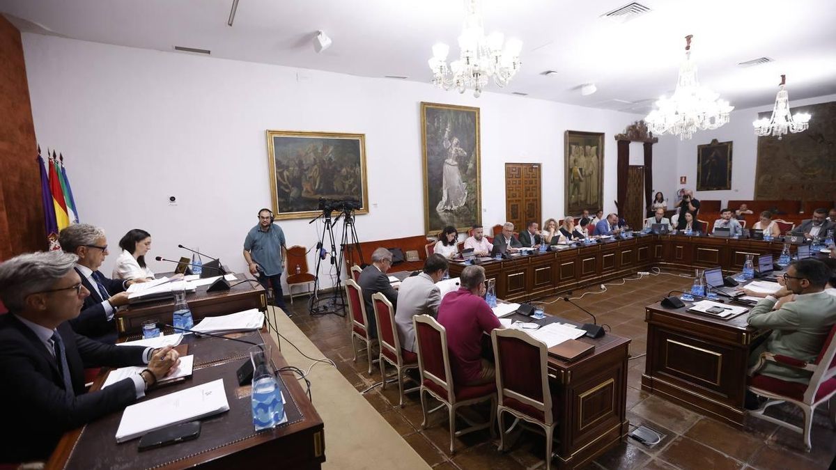 Un momento del pleno de junio de la Diputación de Córdoba.