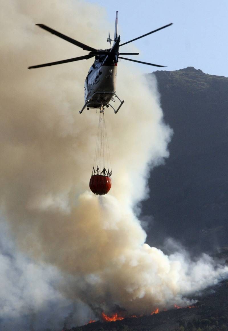 Incendio de Acebo y Perales del Puerto