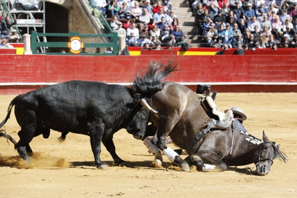 Secuencia de la cogida de uno de los caballos del rejoneador Sergio Galán el día de San José en la Feria de Fallas 2019.