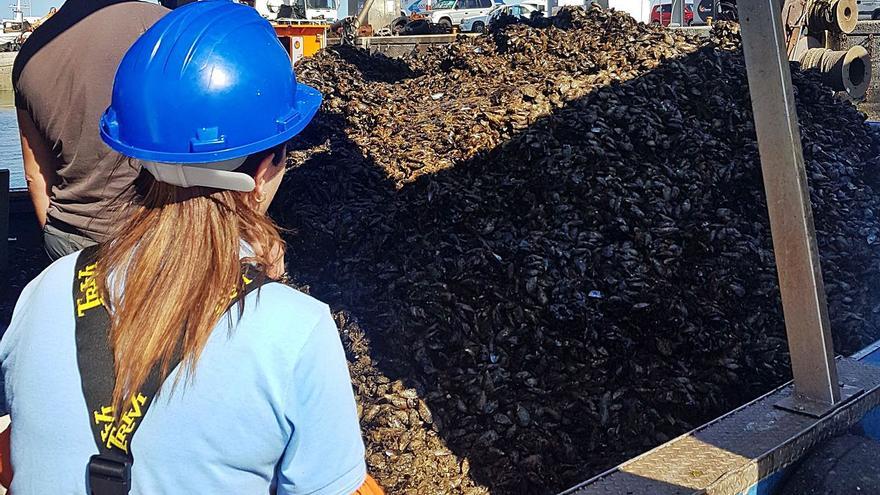 El “oro negro” de batea también quiere ser “oro limpio”