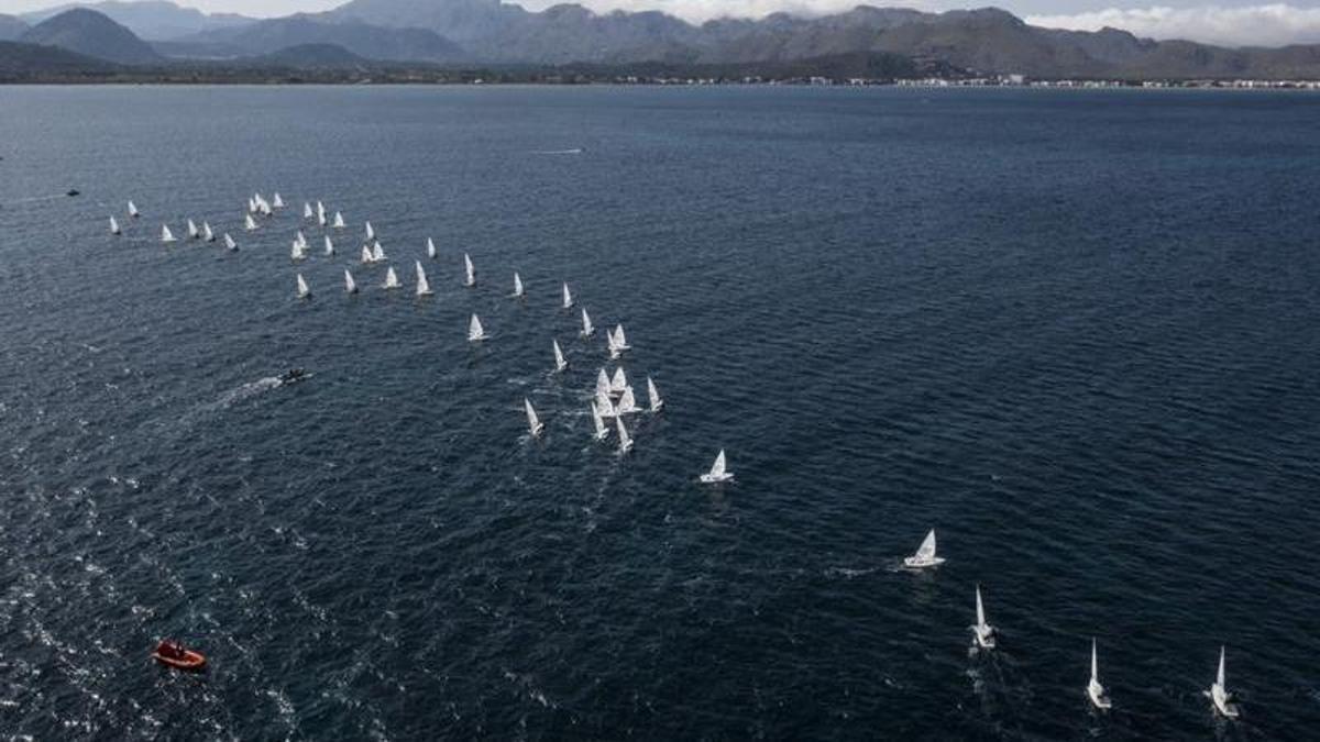 Imagen aérea de una regata de ILCA en la Bahía de Pollença.