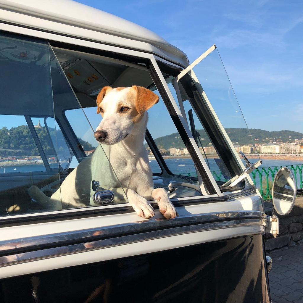 En autocaravana por Donostia. 