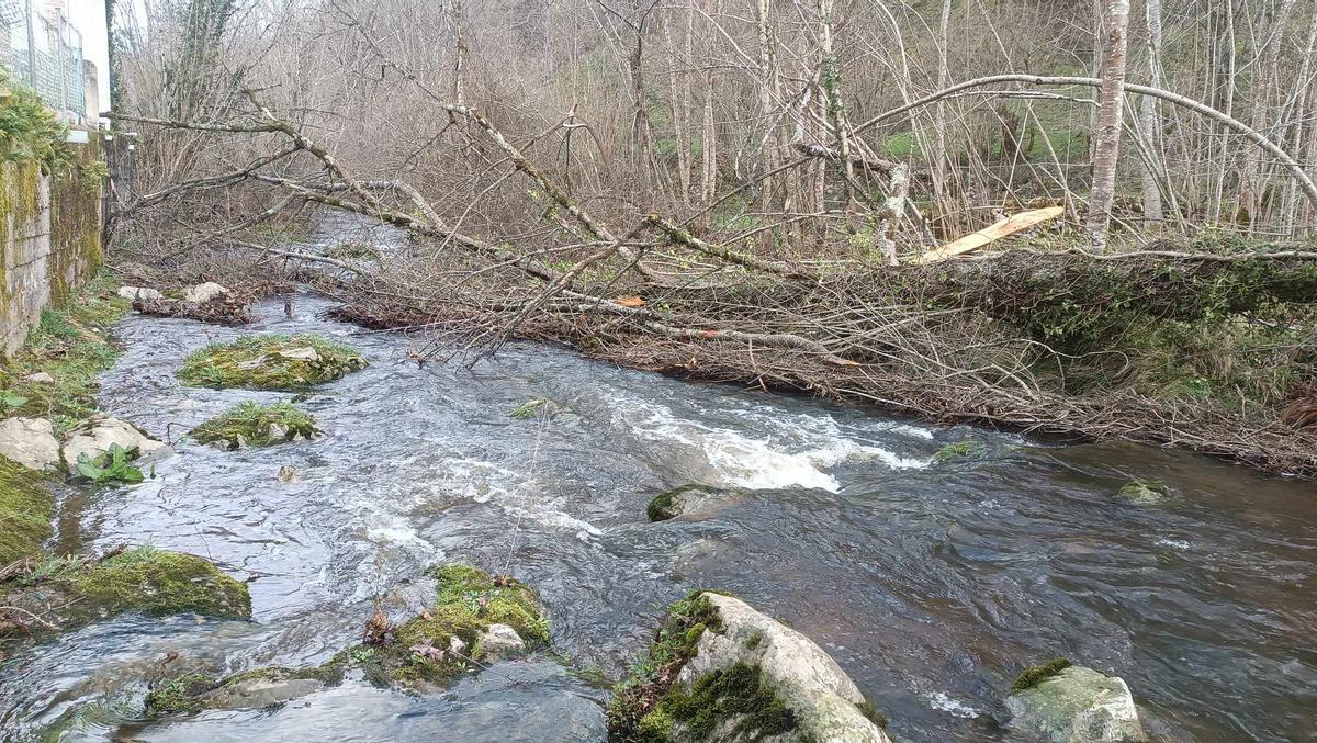 El río Tabardín, en Llanu Con (Cangas de Onís).