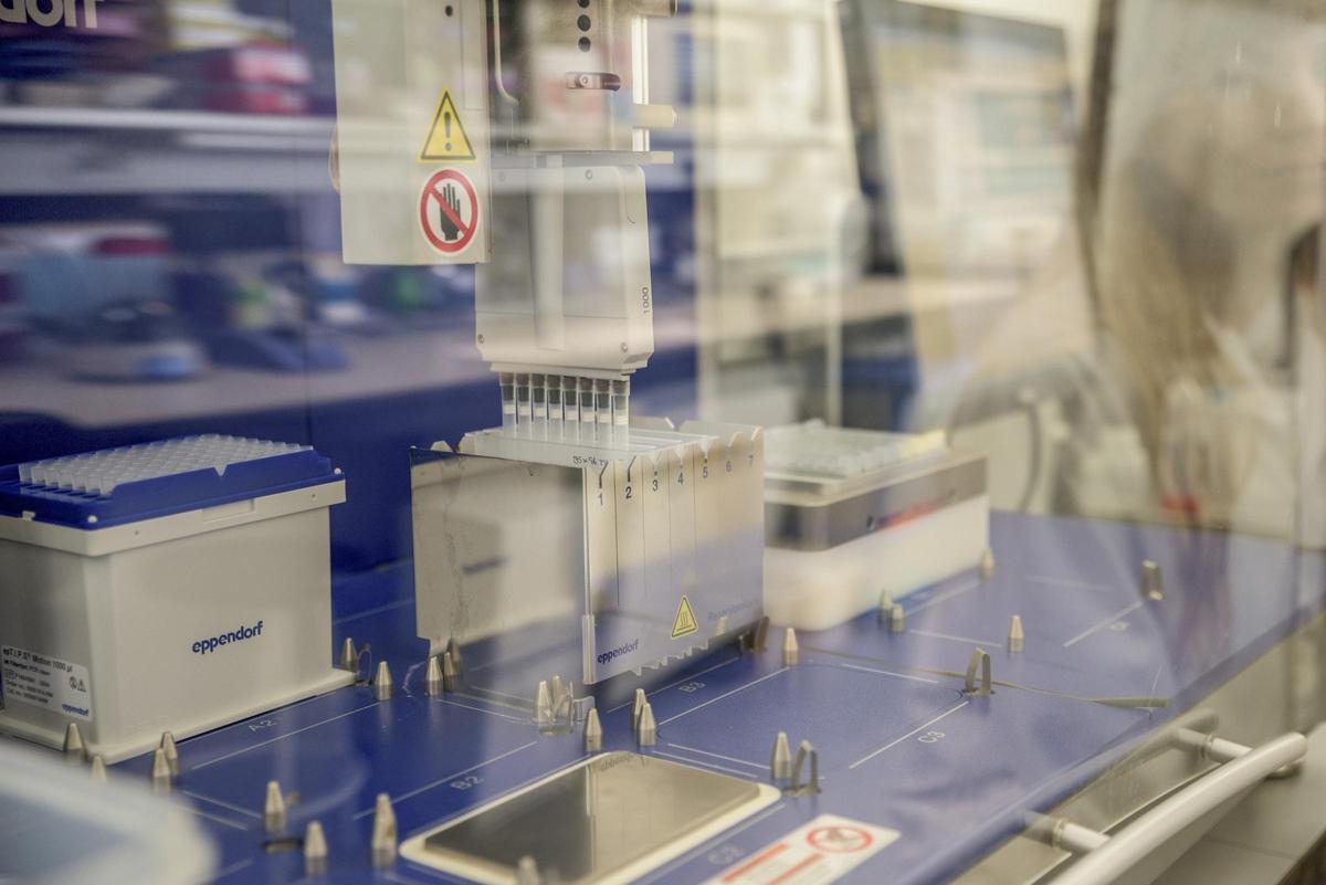 Con una inversión de 10 millones de euros solo en la Comunitat Valenciana, ThinkInAzul trabaja en seis grandes líneas de investigación.