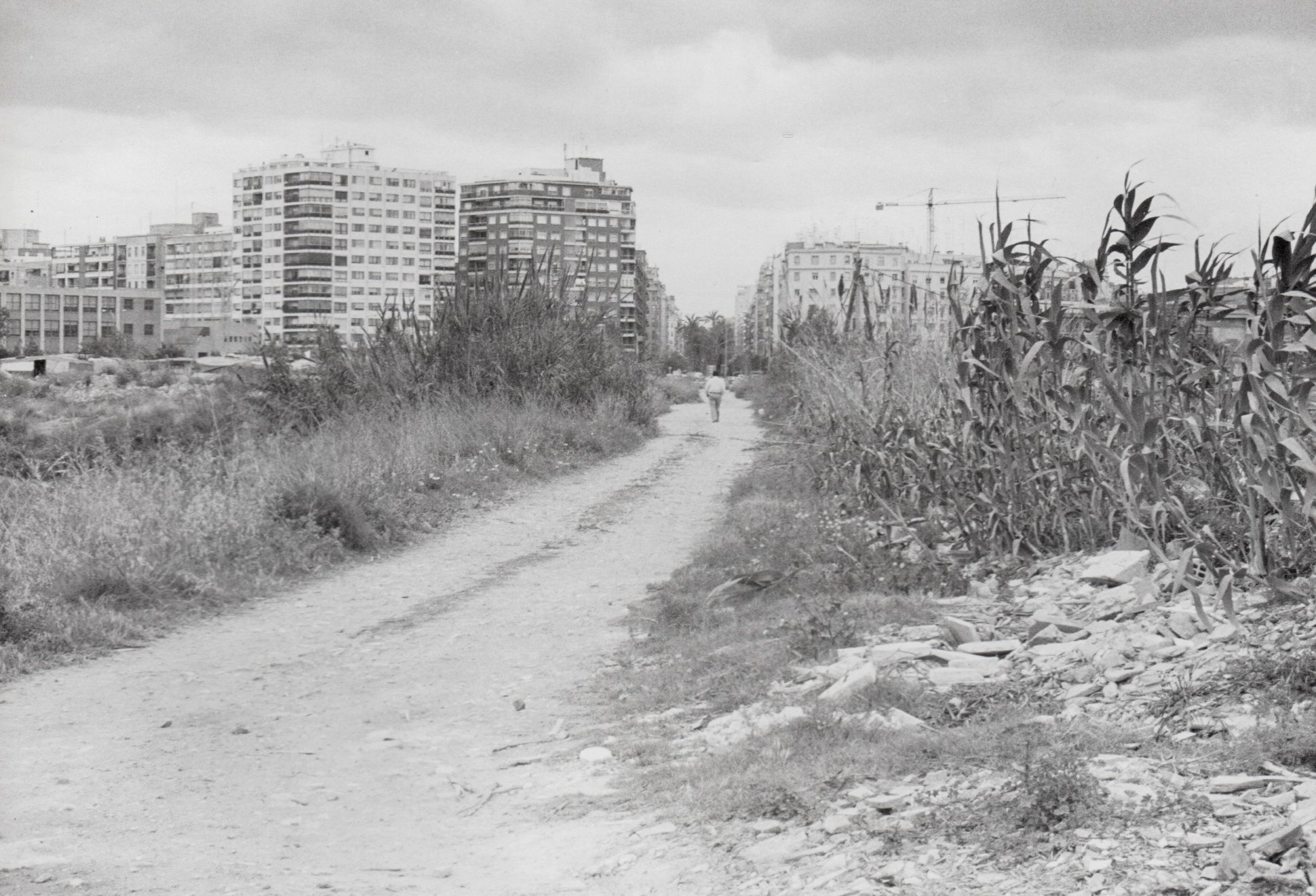 La València desaparecida: Los terrenos de la avenida de Francia y la prolongación de la Alameda