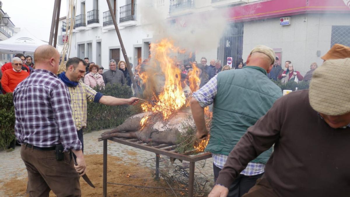 Imagen de archivo de una edición pasada de la matanza de Alcaracejos.