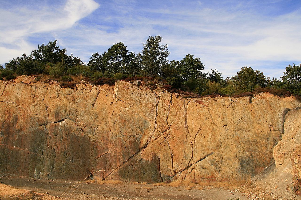 En España existen varios bosques petrificados