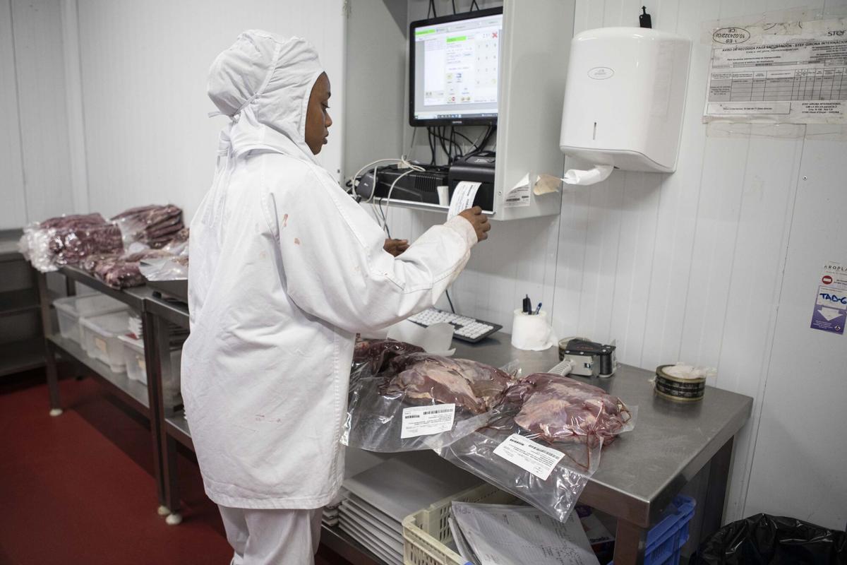 Una preuada carn de caça