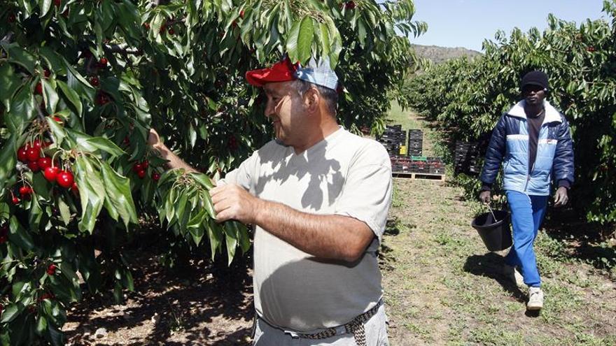 Un futuro incierto en la fruta