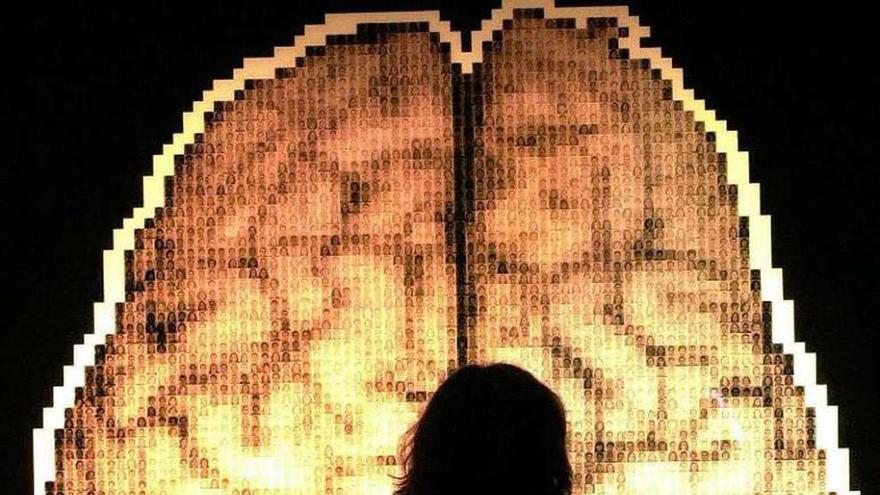 Un visitante observa un mapa del cerebro en una exposición. // A. E.