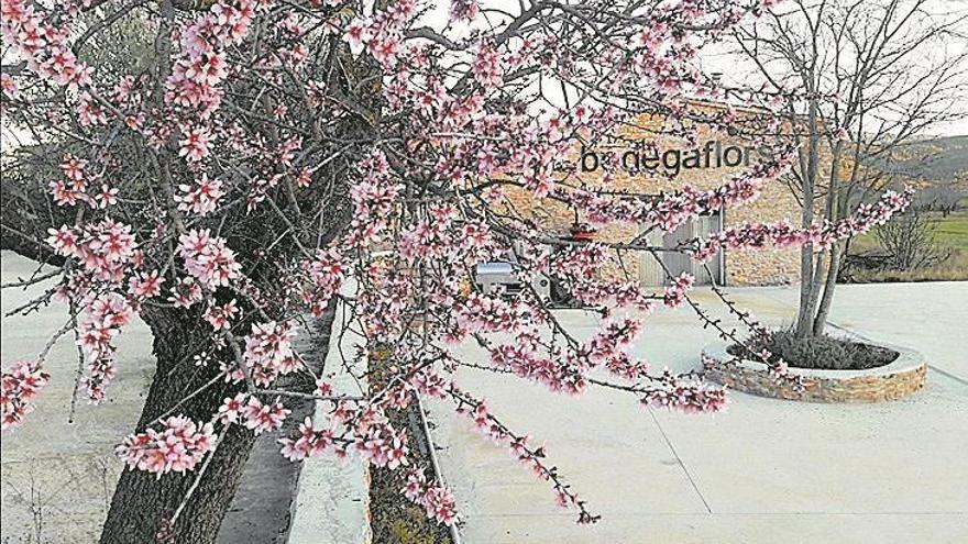Bodega Flors lanza el nuevo Clotàs de garnatxa