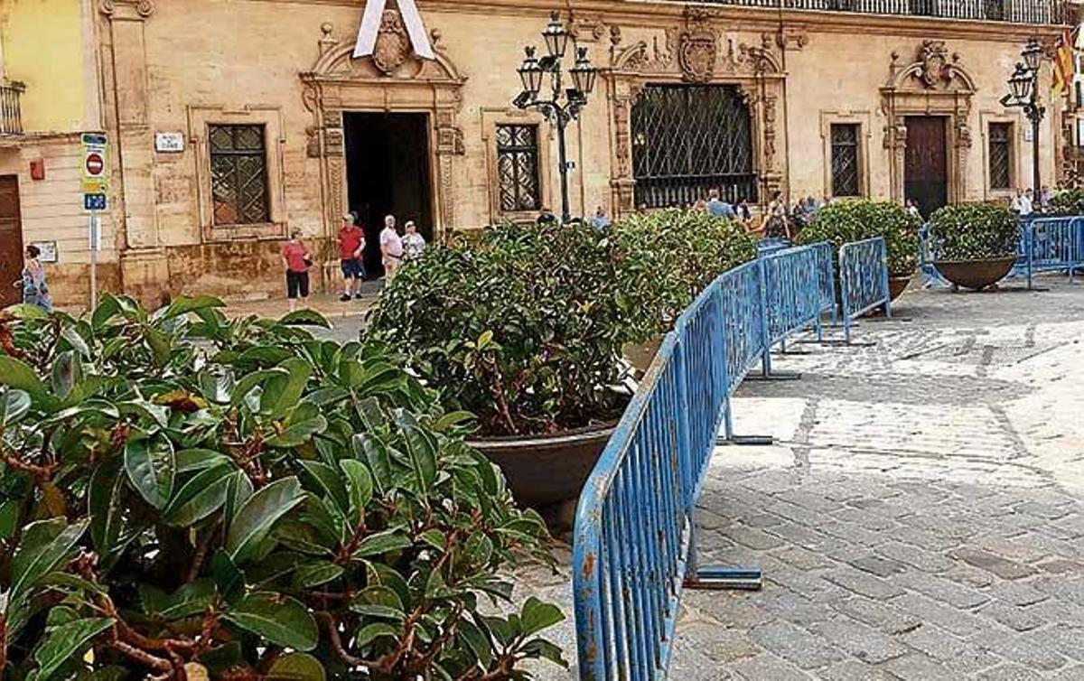 Las jardineras de Cort, protegidas por barreras.