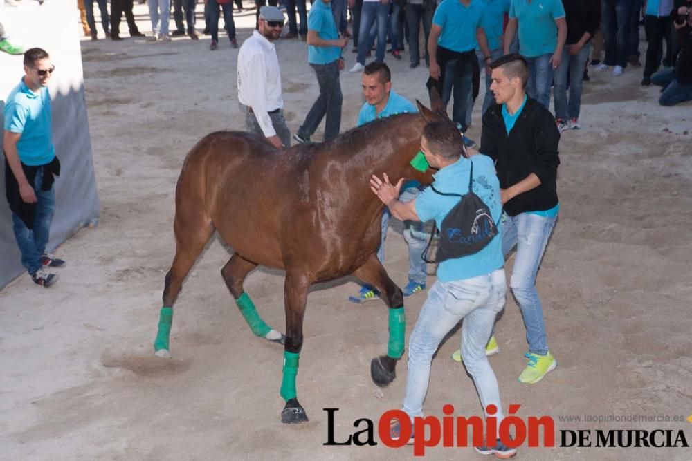 Día uno de mayo, entrada de caballos al Hoyo