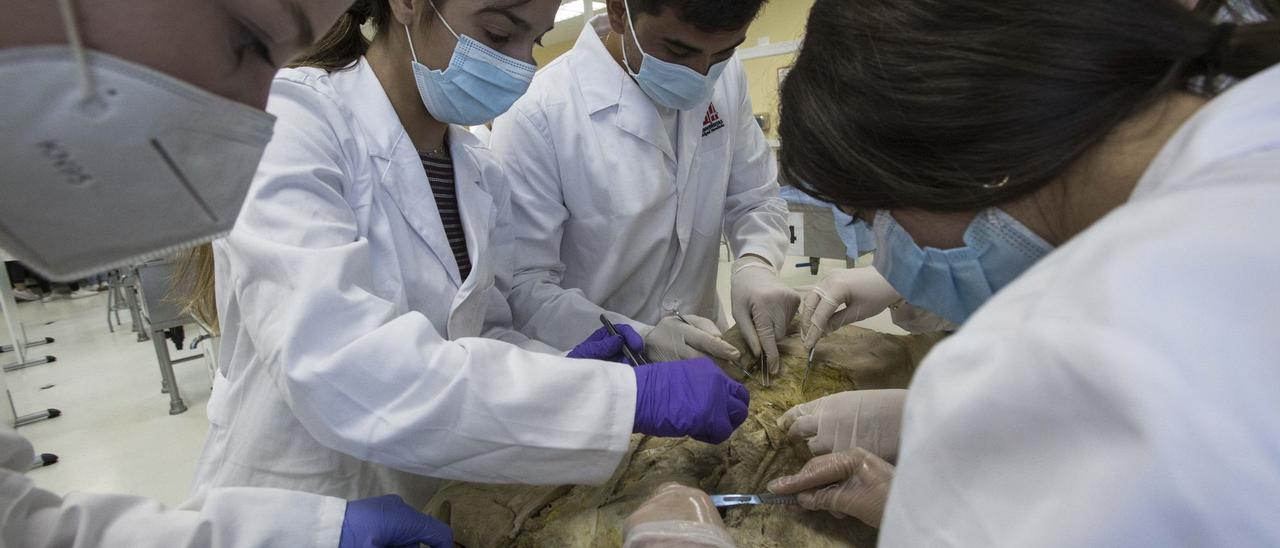 Alumnos de Medicina dan prácticas de Anatomía