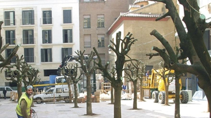 Limasa cambia el horario para limpiar la plaza de las Flores - La Opinión de Málaga Limasa cambia el horario para limpiar la plaza de las Flores - La Opinión de Málaga