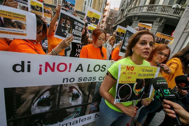 Protesta para prohibir el maltrato de animales