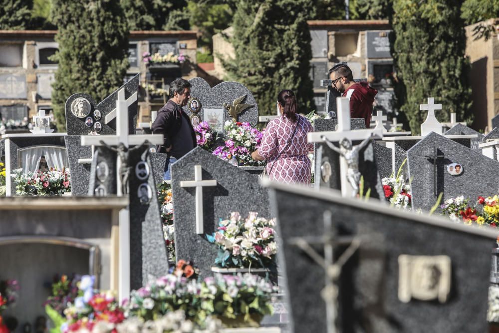 Lleno en el Cementerio de Alicante
