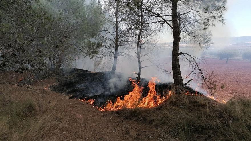 Conato de incendio en en paraje de Los Algezares, en el término municipal de Yecla