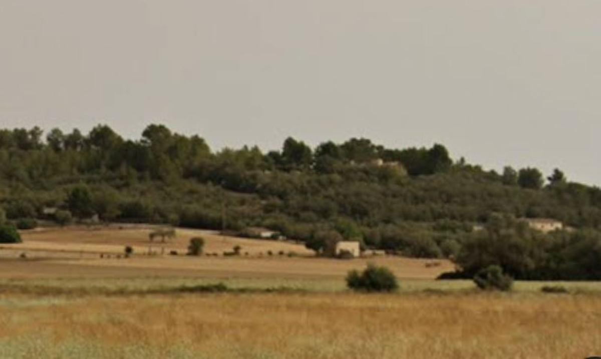 Inmedaciones de la finca Son Comelles de Montüiri donde tuvo lugar el trágico atropello del niño.