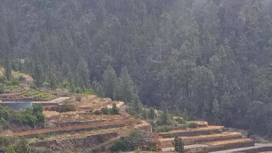 Conato de incendio en Tenerife