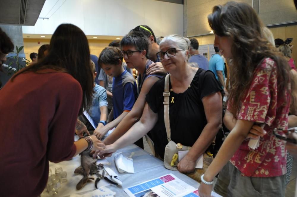 Jornada sobre els beneficis del mar sobre la salut