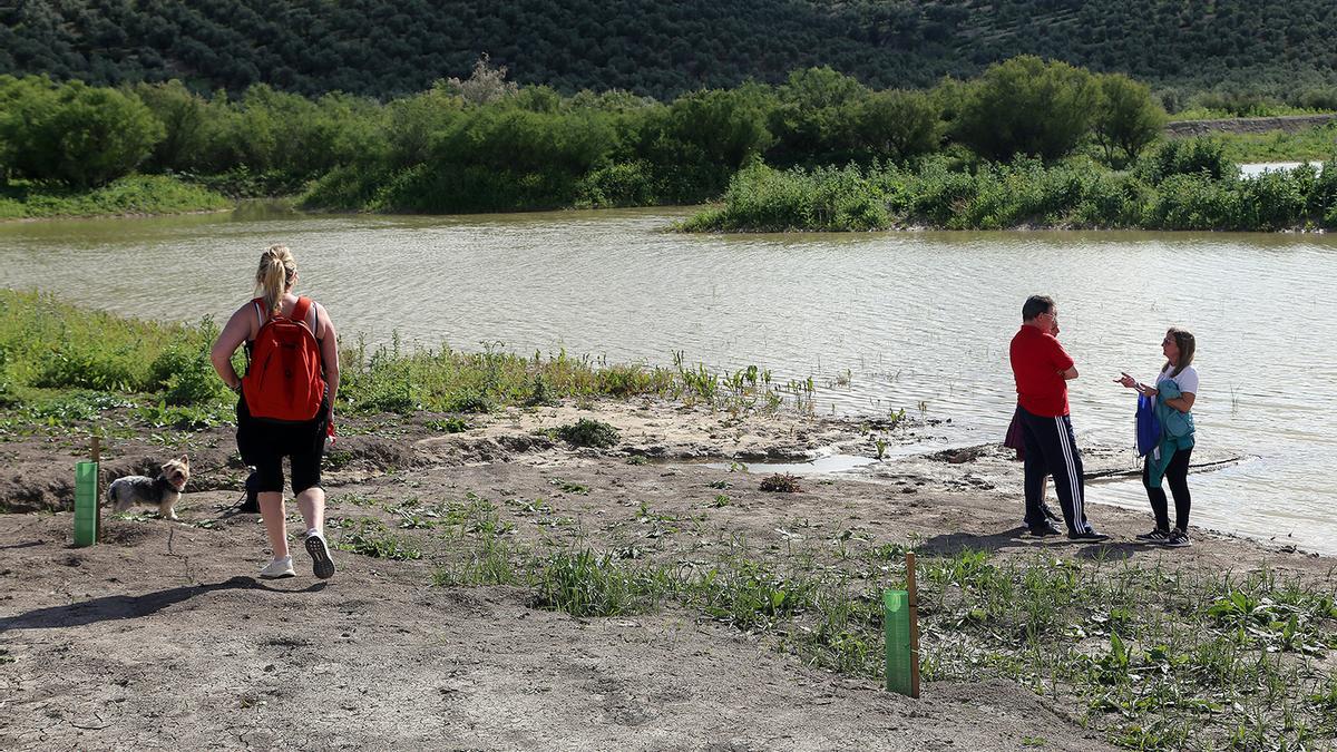 La Laguna de Jarata, en imágenes