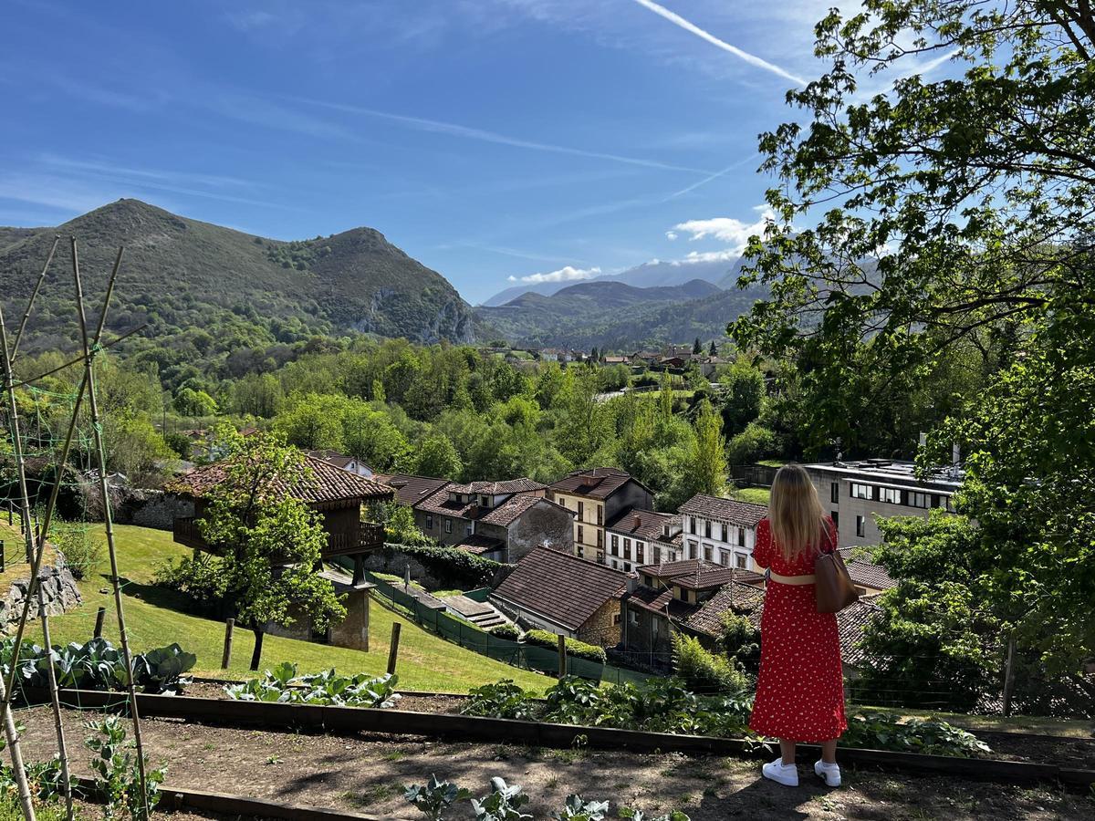 Oviedo rural paisaje