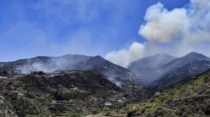 GÁLDAR. Incendio en La Cumbre. Vista  de Juncalillo afectado por el incendio originado en Artenara.  | 11/08/2019 | Fotógrafo: José Pérez Curbelo