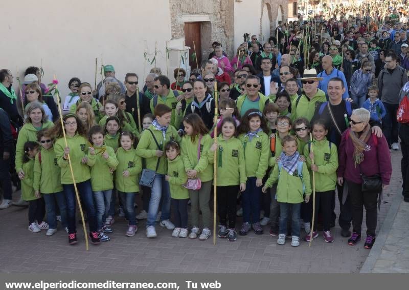 GALERÍA DE FOTOS - Romería Magdalena 2014 (4)