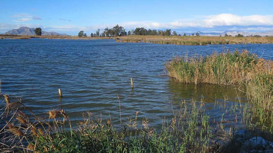 Una de las charcas de reserva.