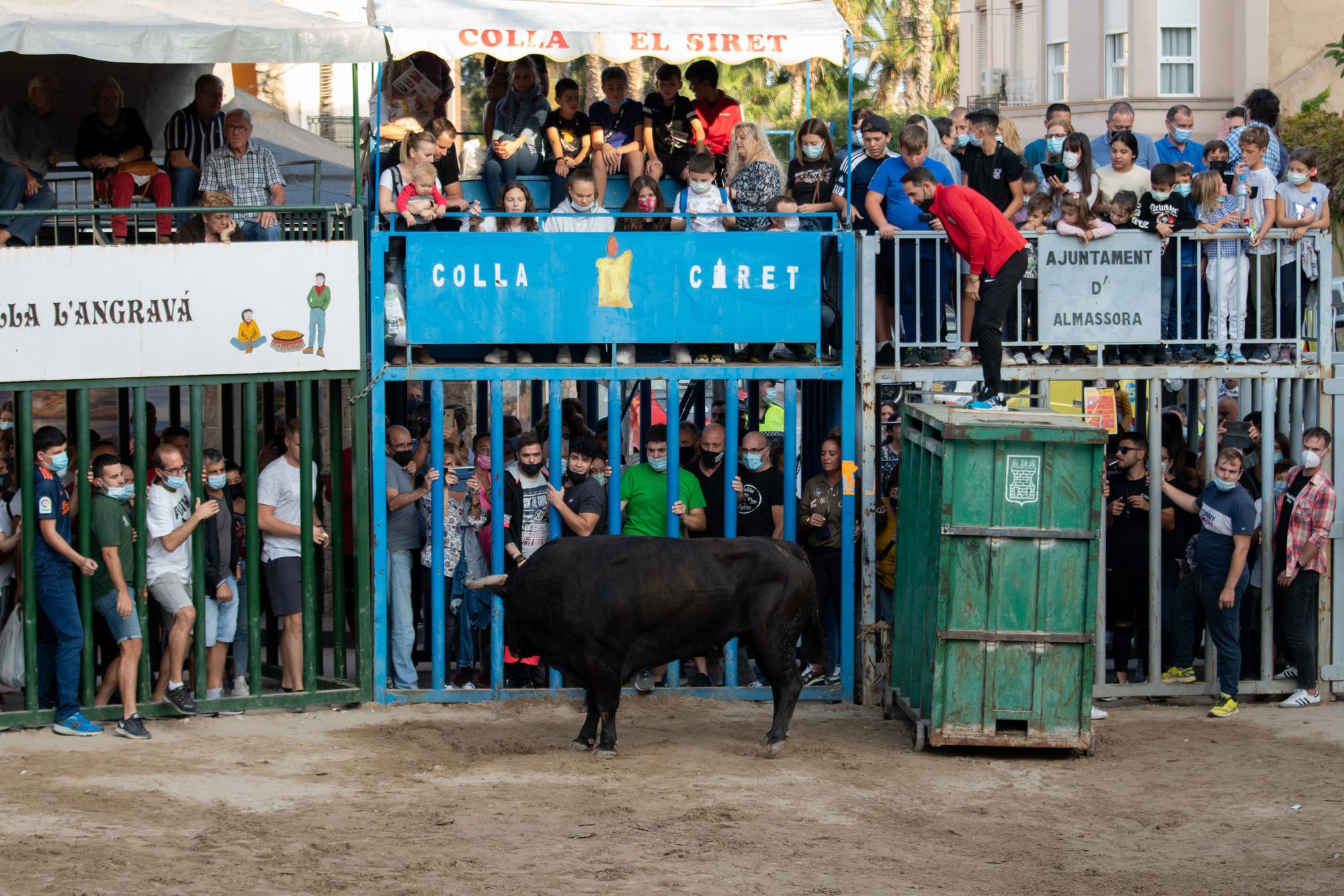 El tercer día de toros en Almassora, en imágenes