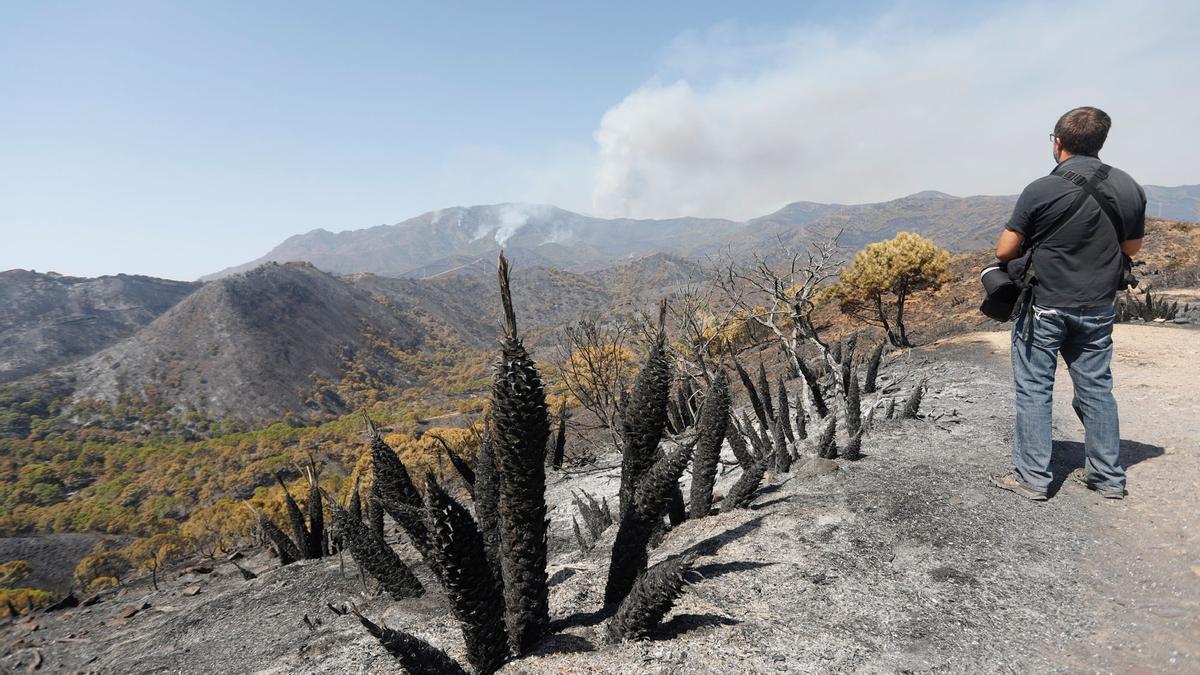 Tercera jornada de trabajos de extinción del incendio en Sierra Bermeja.