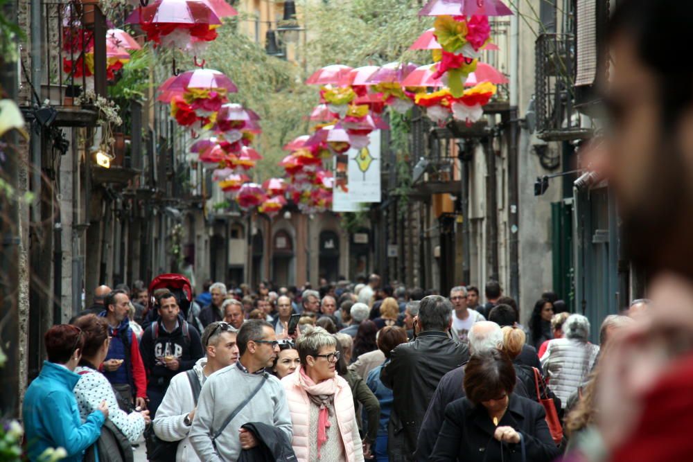 Girona floreix amb «Temps de Flors»