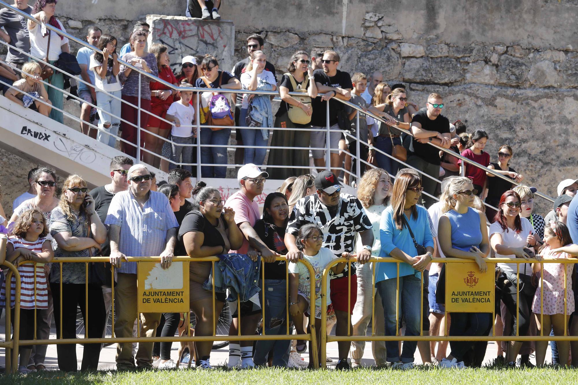 La Feria Animalista de València, en imágenes