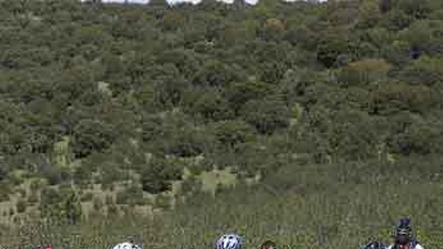 Un grupo de ciclistas disfruta de la naturaleza en La Raya.