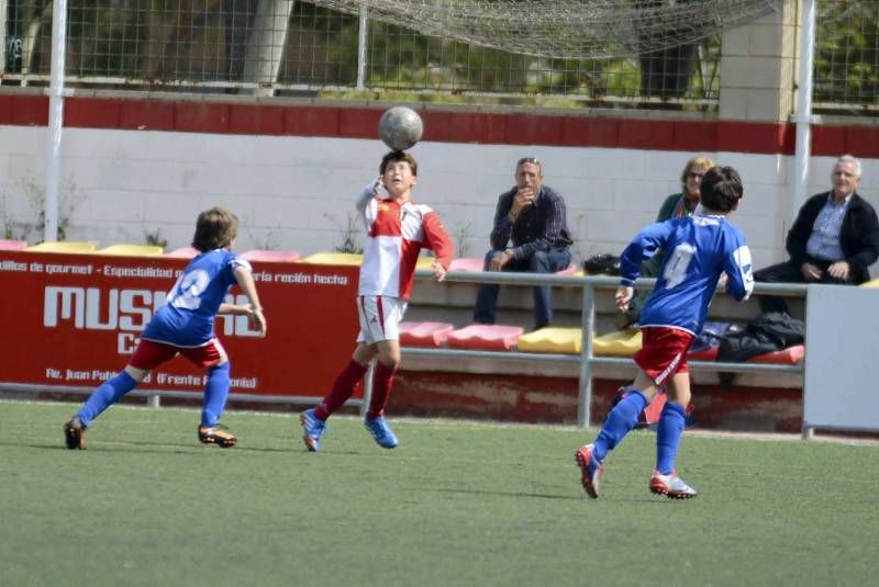 FÚTBOL: Hernán Cortés - San Gregorio (1ª Alevín grupo 2)