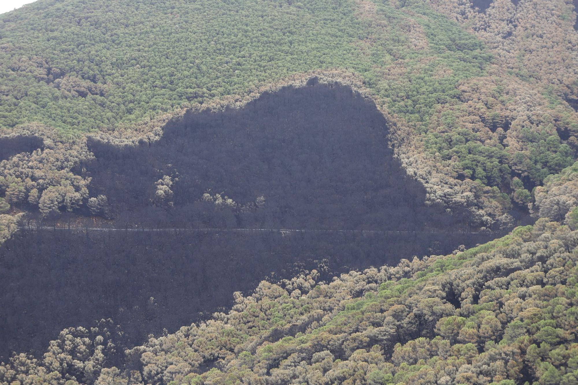 El Paraje de las Peñas Blancas en Estepona arrasado por el fuego