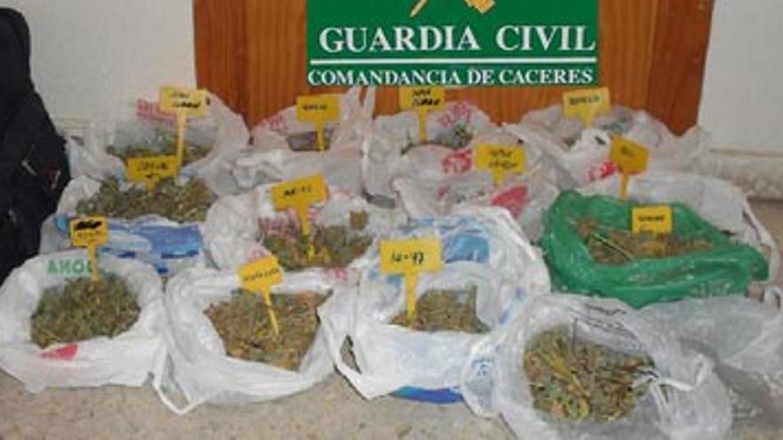 La Guardia Civil se incauta de 727 gramos de marihuana en Casatejada