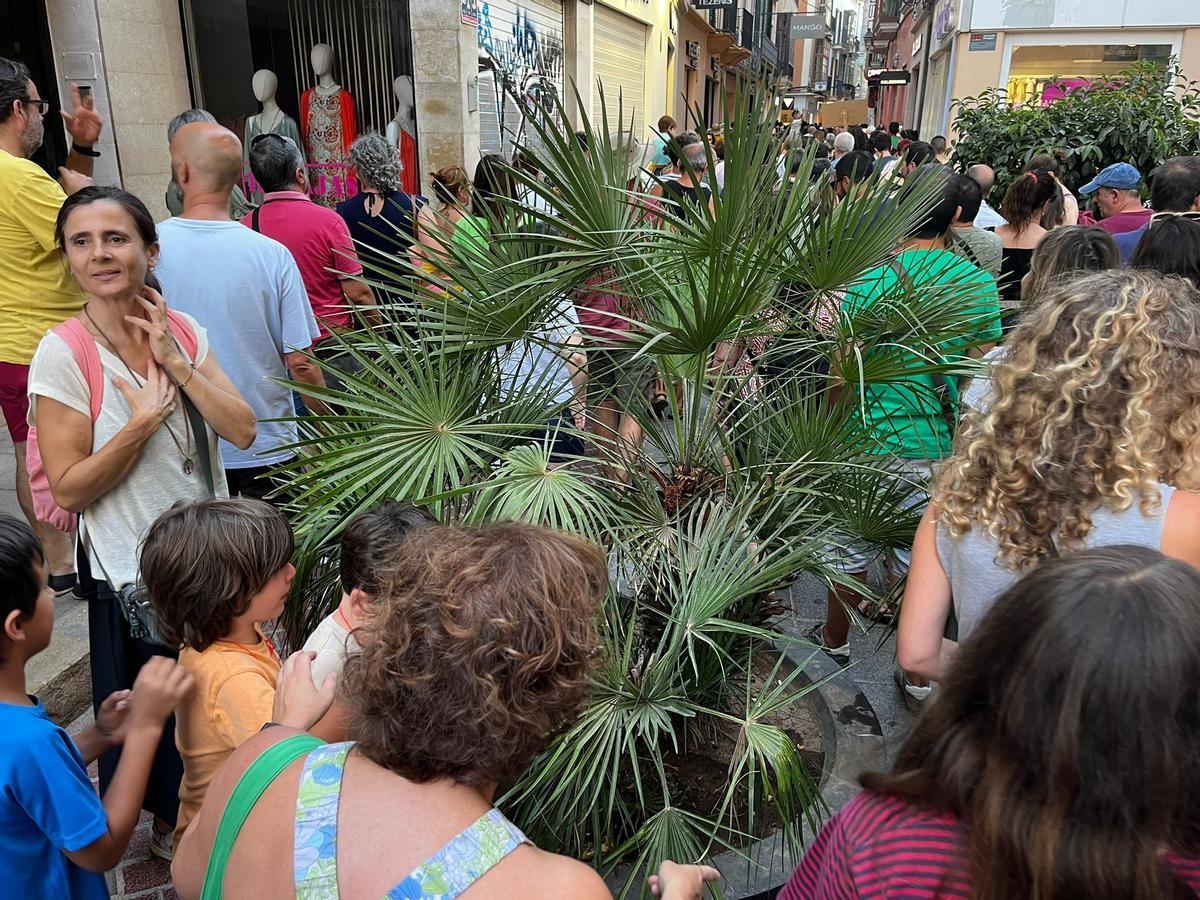 Los manifestantes se ven obligados a sortear las jardineras en San Miguel.