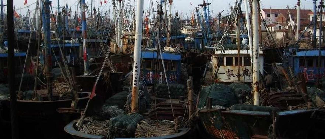 Buques pesqueros en el puerto de Dakhla, en Marruecos. // A. Amoedo