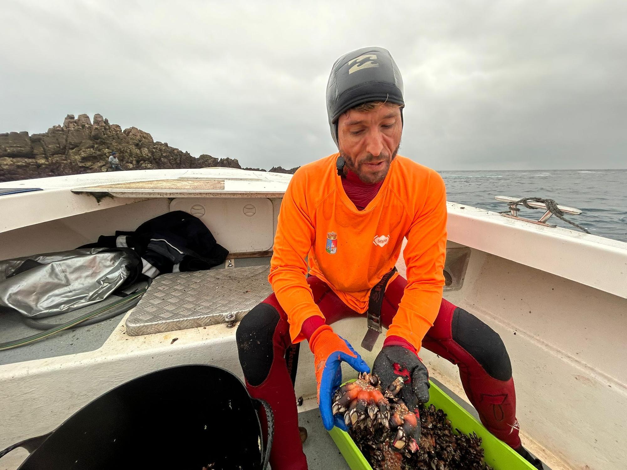 EN IMÁGENES: Así luchan los mariscadores de Luanco por cada kilo de percebe en el cabo Peñas