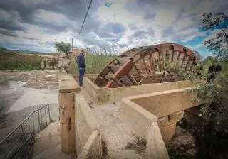 Orihuela celebra el 150 aniversario de sus norias gemelas aún sin rehabilitar