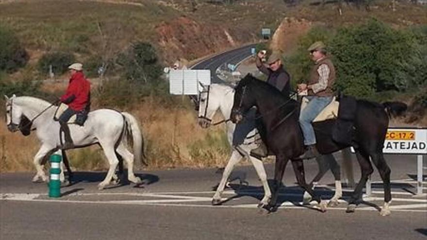 Más de 800 caballos cubiertos por el polvo cabalgan a Guadalupe