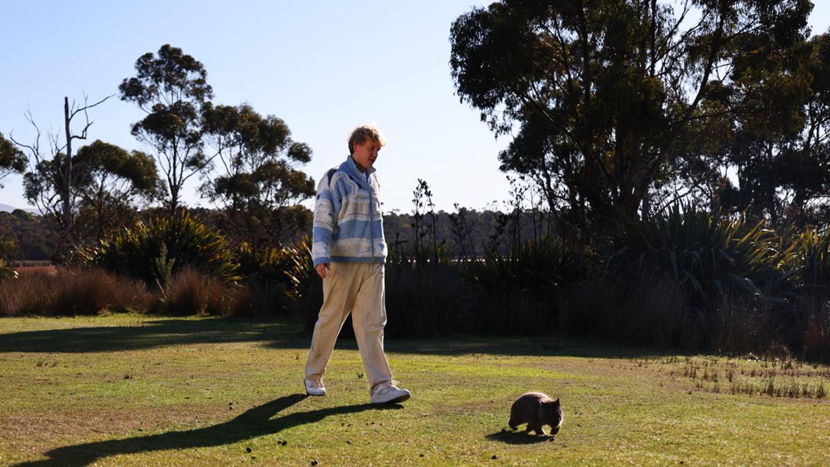 Paseante de wombats o guía paranormal, los empleos raros que ofrece Tasmania