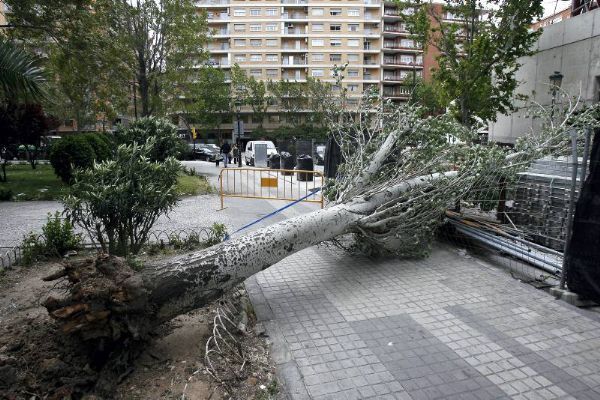 Los efectos del vendaval