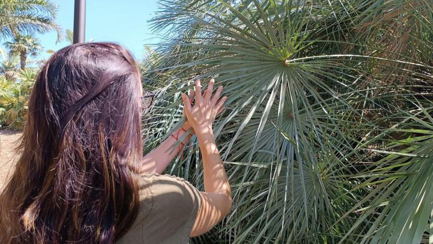 Visita sensorial en el Palmétum.